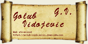 Golub Vidojević vizit kartica